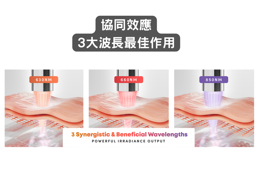 [Meds Support] 紅光理療棒 有效舒緩痛症 促進血液循環 可用於寵物