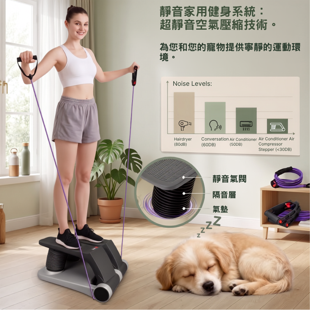 AIRBIKE氣壓踏步機