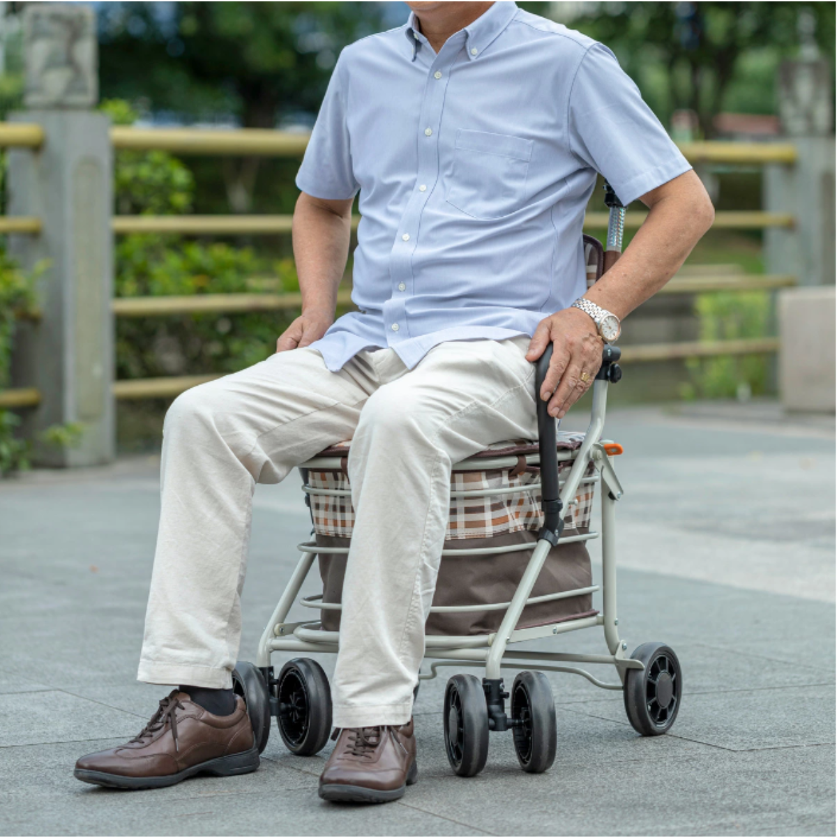 [樂樂健] 大容量助行購物車