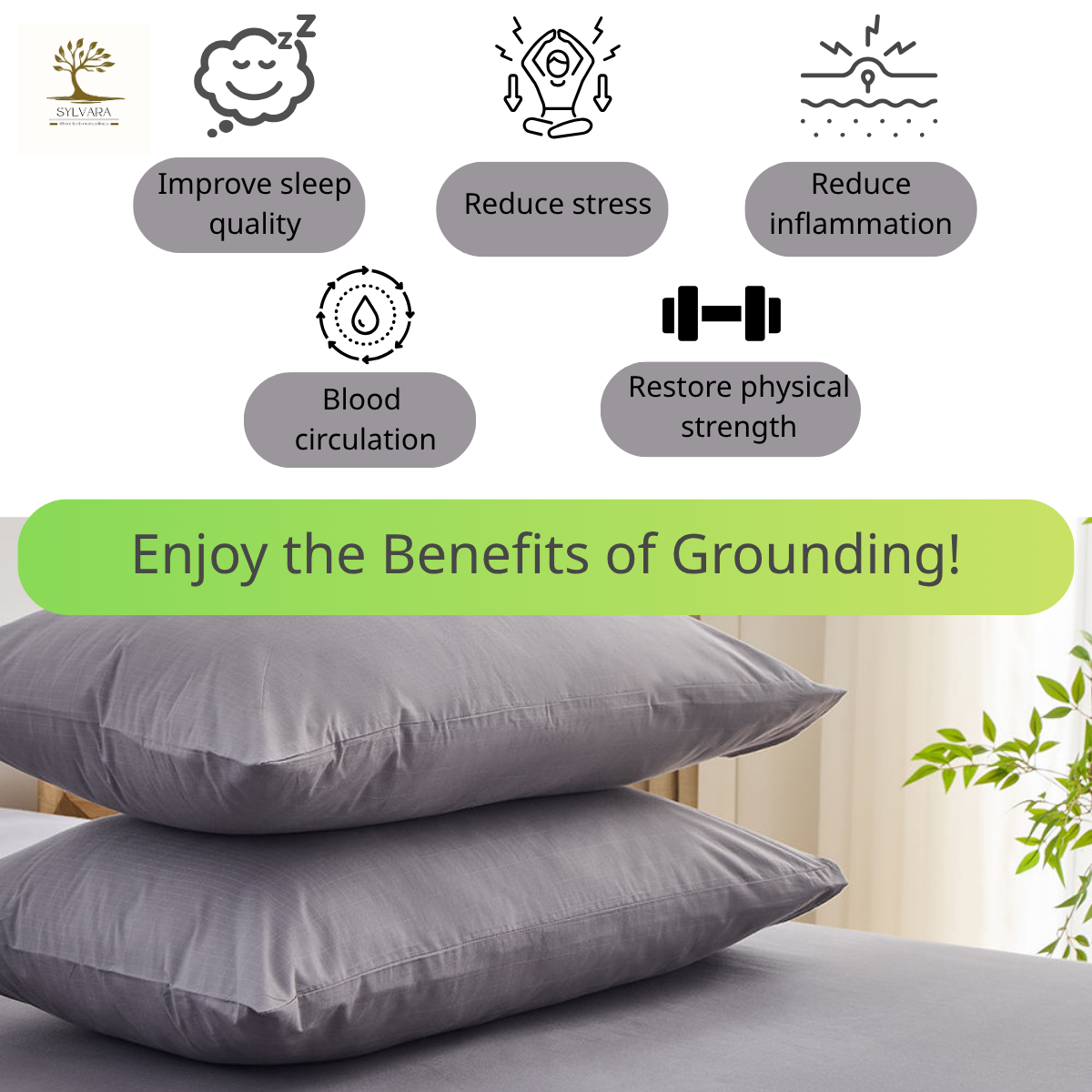 [Sylvara] 接地氣枕頭套