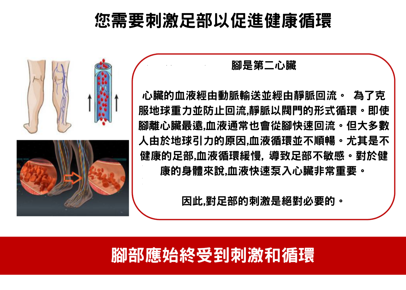 [vibro orthotics] iMOOV 4D減壓舒痛鞋墊 (豪華全墊)