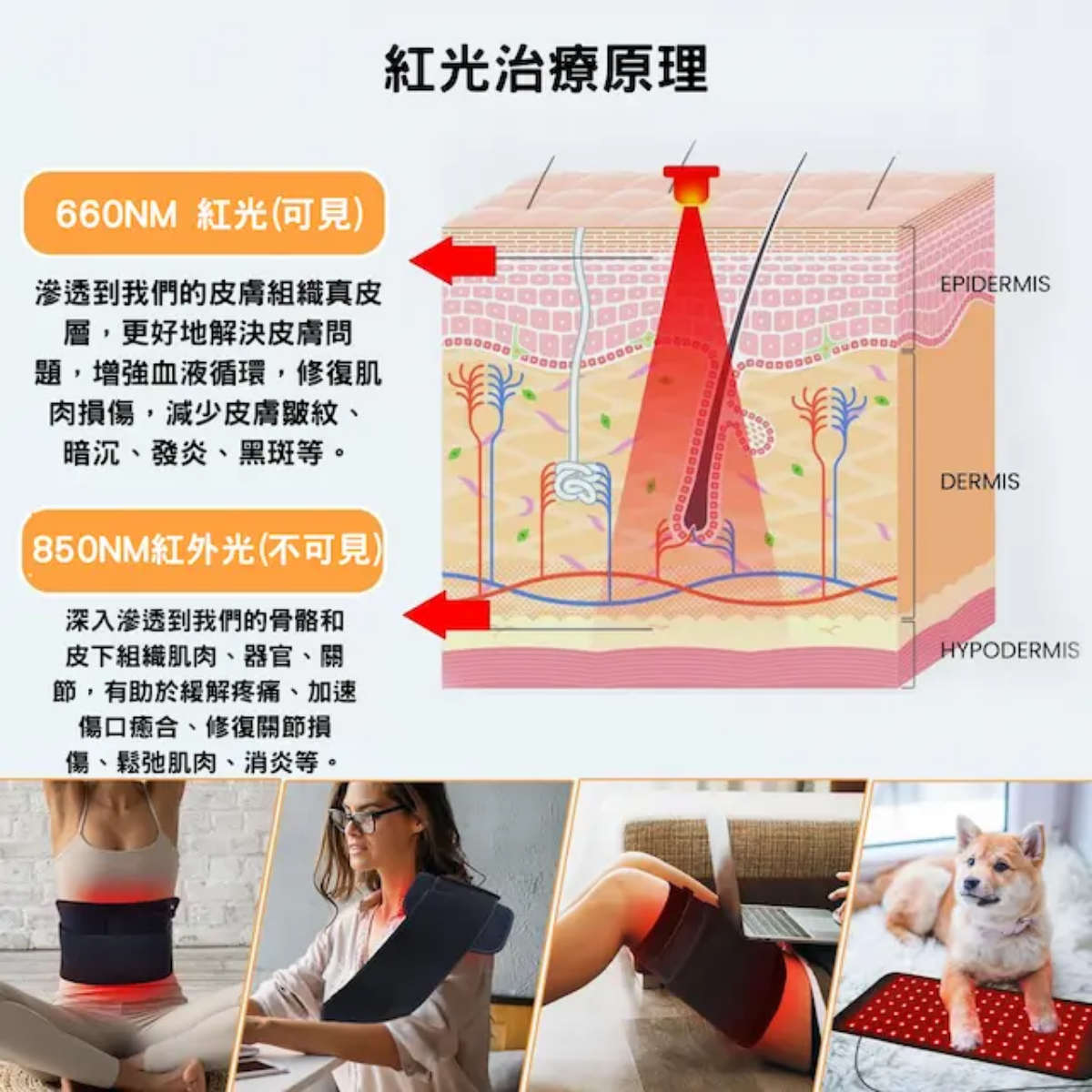 深入滲透到我們的骨骼和皮下組織肌肉、器官、關節，有助於緩解疼痛、加速傷口癒合、修復關節損傷、鬆弛肌肉、消炎